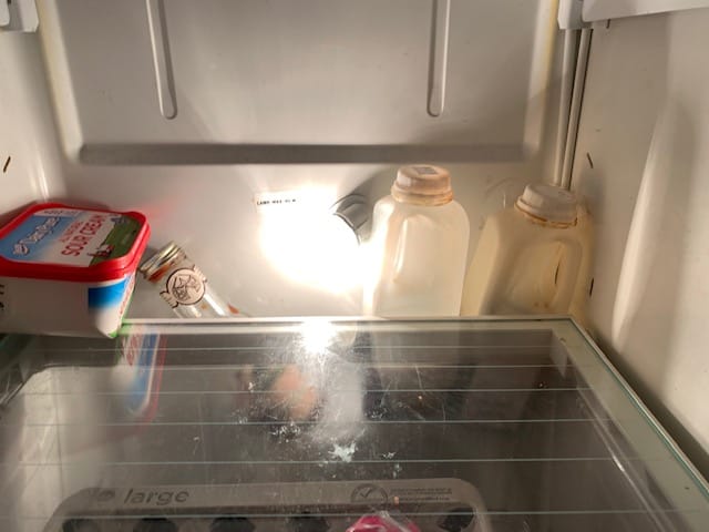 fridge with missing light shield